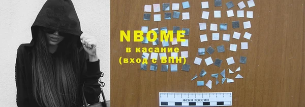 хмурый Осинники