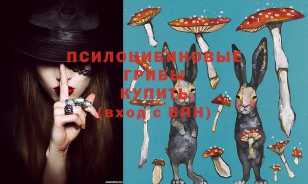 МДПВ Няндома