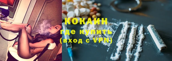 дурь Бежецк