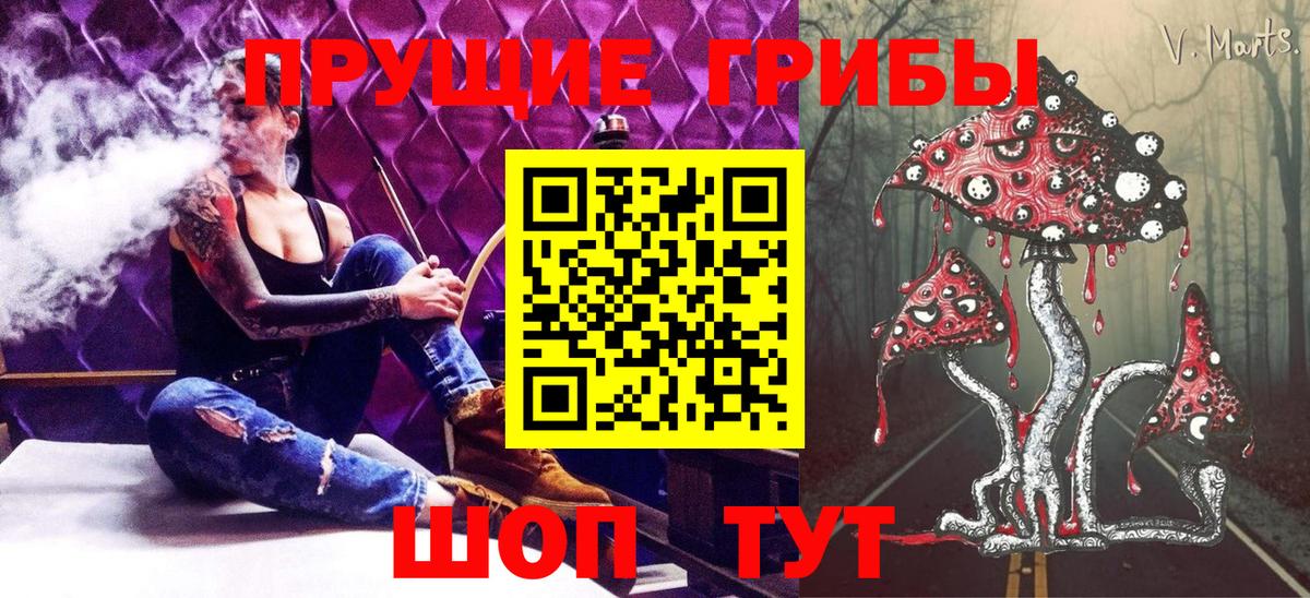 наркота  Галлюциногенные грибы MAGIC MUSHROOMS  Вход с VPN  Киржач 