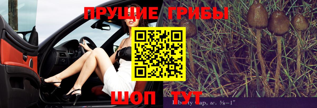 Псилоцибиновые грибы прущие грибы Киржач